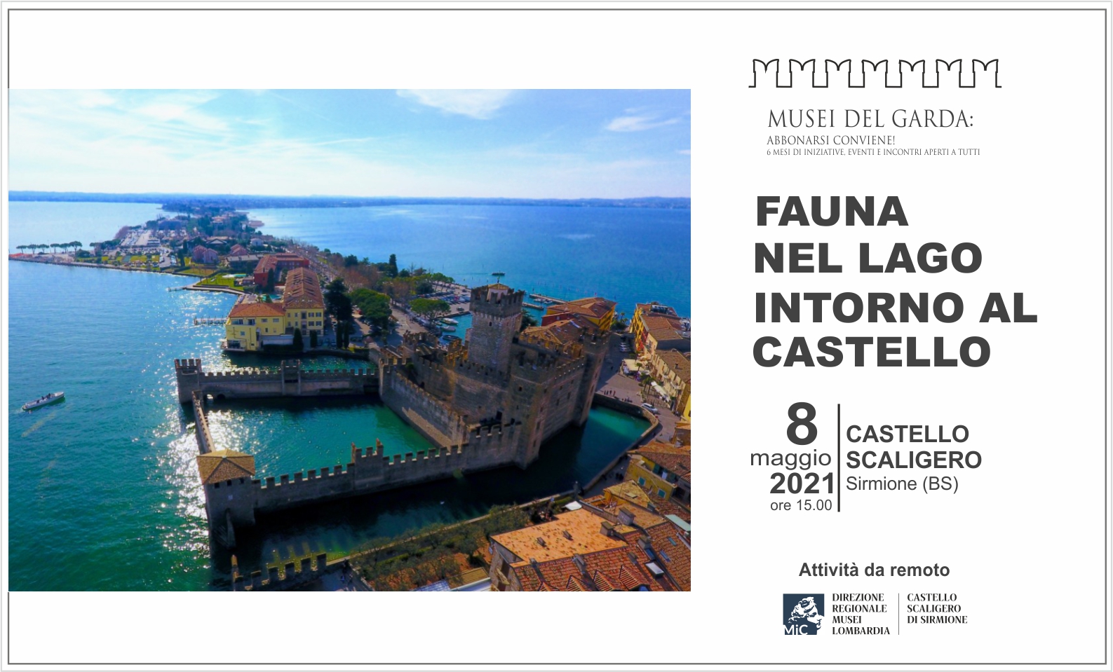 Fauna nel lago intorno al Castello